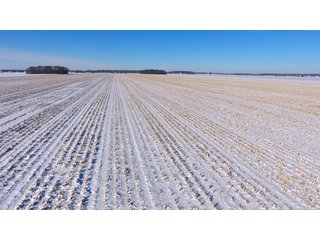 Property photo 22 - OHIO REAL ESTATE AUCTION - 202+/- ACRES IN 3 TRACTS IN VAN WERT COUNTY, OHIO